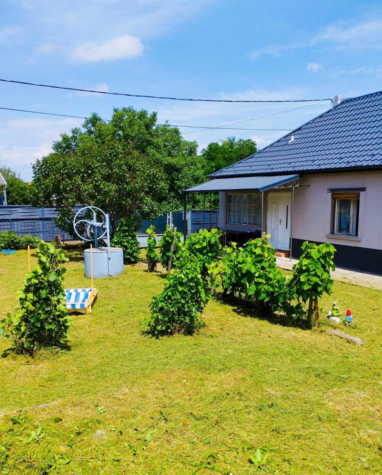 Lavender Vendeghaz Kicsi Falu Nagy Szivvel Varazslatos Legkoerrel Daire Golop Dış mekan fotoğraf